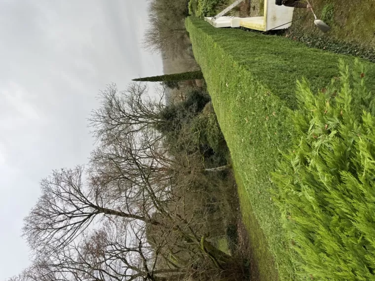 Taille de haie à Chauray , Niort, Demestre Elie